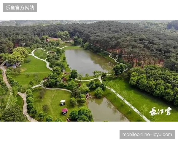 精准投放算法纠偏高净值球迷群体的旅游服务转化路径